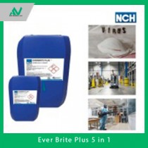 Ever Brite Plus 5 in 1 -  Dung dịch khử khuẩn, làm sạch